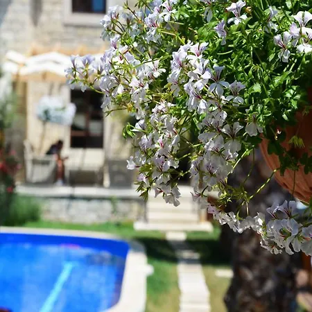 Hotel Tasquartas Alaçatı