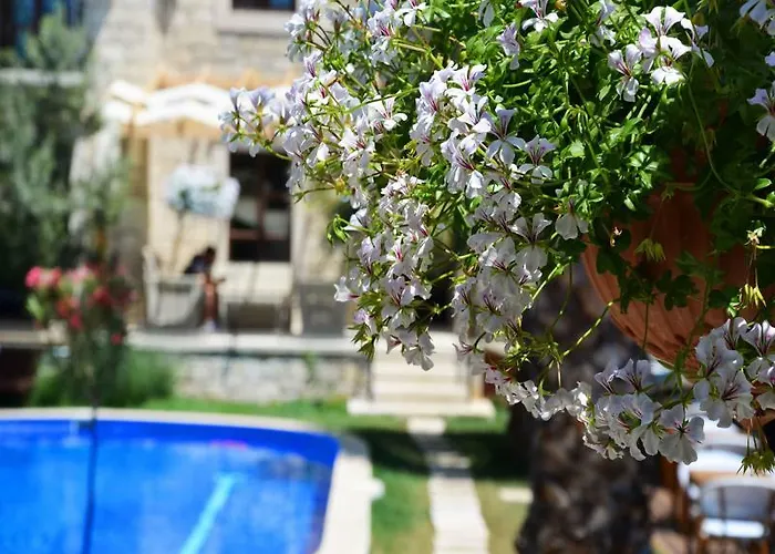 فندق Tasquartas ألاتشاتي